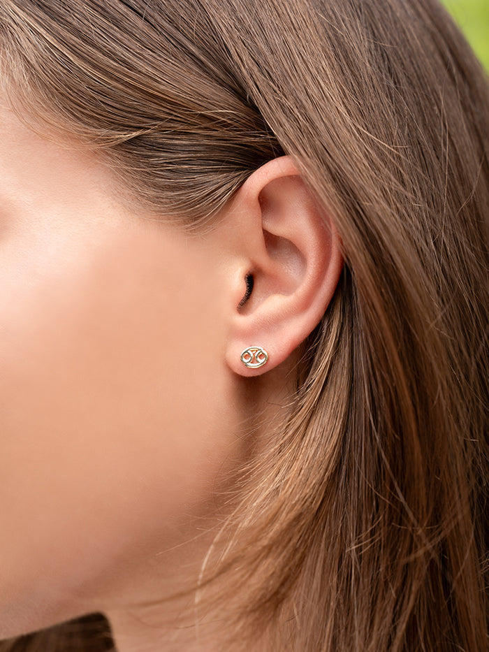 Cancer Zodiac Earrings