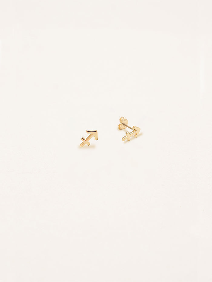 Sagittarius Zodiac Earrings