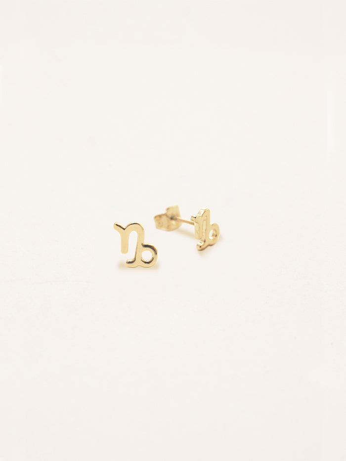 Capricorn Zodiac Earrings