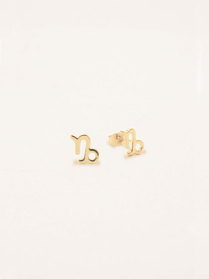 Capricorn Zodiac Earrings