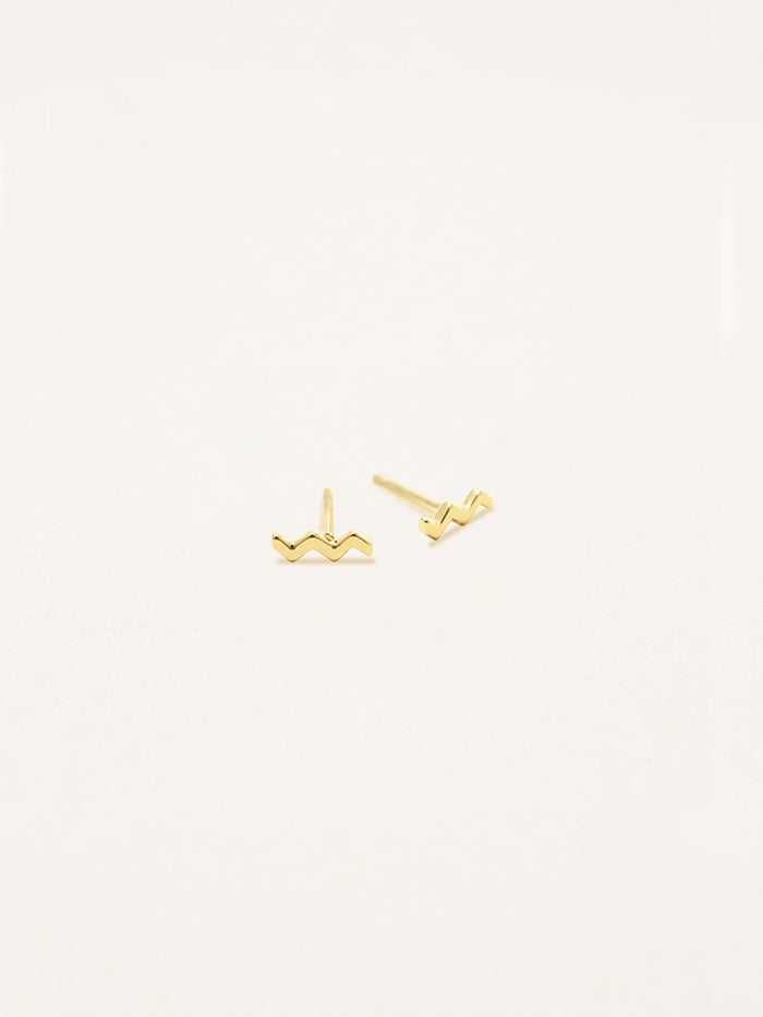 Aquarius Zodiac Earrings