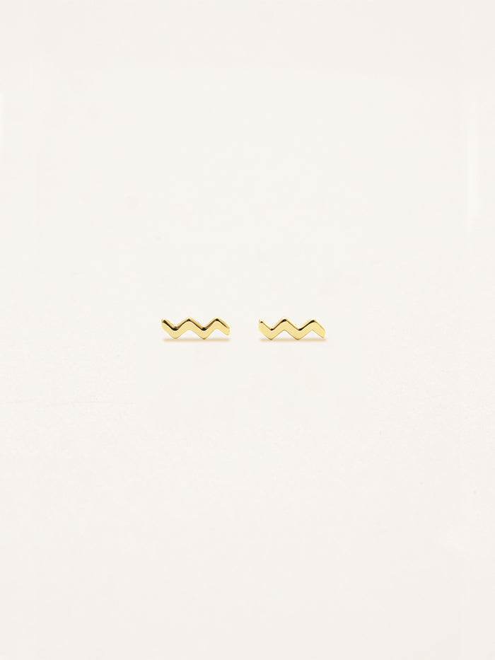 Aquarius Zodiac Earrings